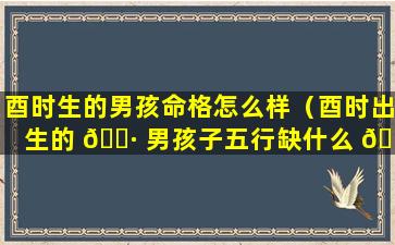 酉时生的男孩命格怎么样（酉时出生的 🕷 男孩子五行缺什么 🌸 ）